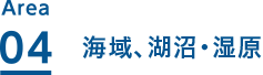 海域、湖沼・湿原